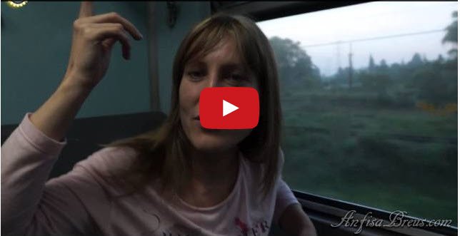 freelancelifestyle.ru-anfisabreus